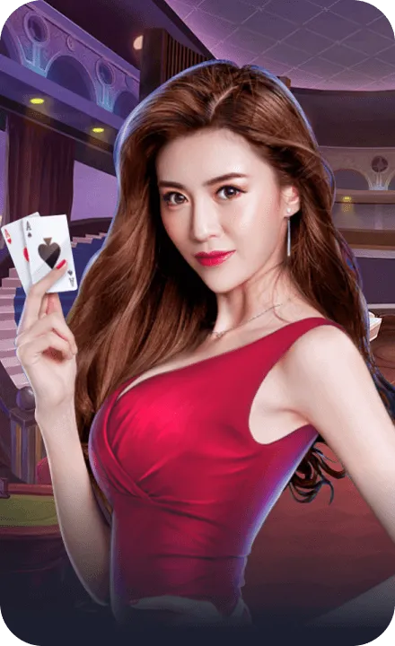 博狗体育棋牌场馆